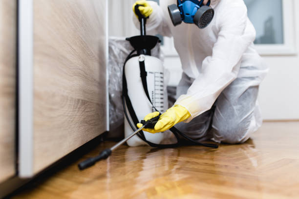 Best Wildlife Control Services  in Oakville, CT