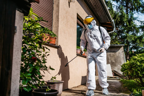 Best Pest Removal Services  in Oakville, CT