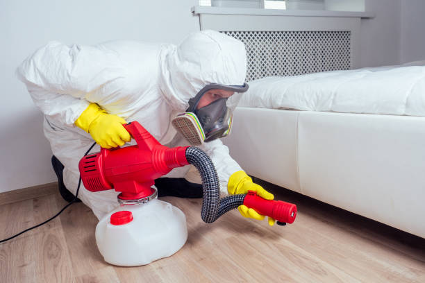 Reliable Oakville, CT Pest Control Solutions