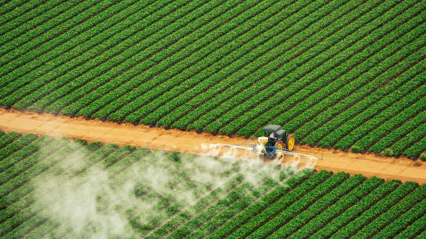 Best Pest Control Treatment  in Oakville, CT