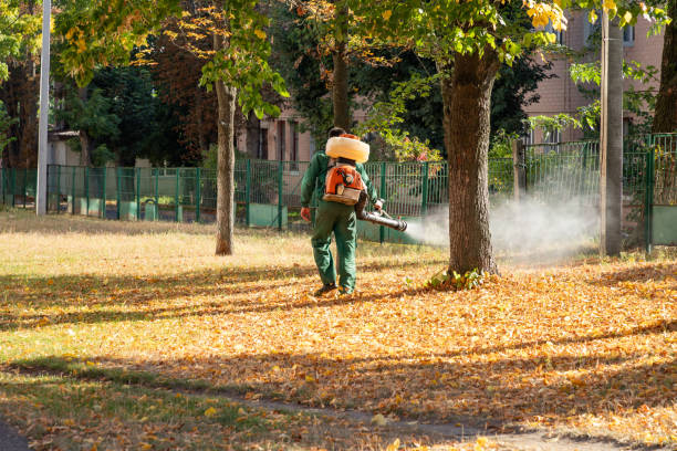 Wasp Removal Services in Oakville, CT