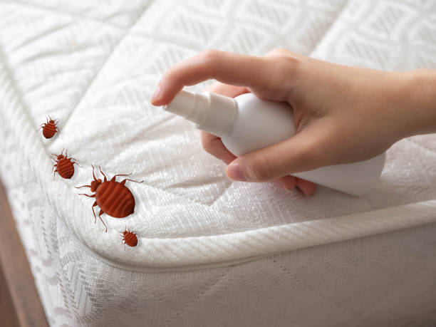Best Affordable Pest Control Services  in Oakville, CT
