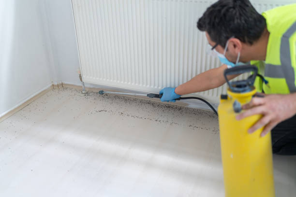 Best Emergency Pest Control  in Oakville, CT