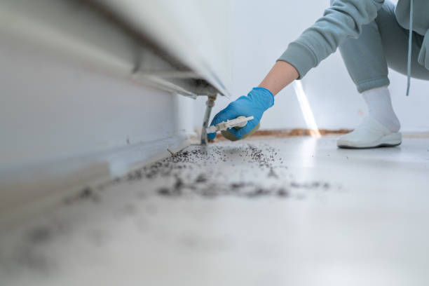 Wildlife Control Services in Oakville, CT