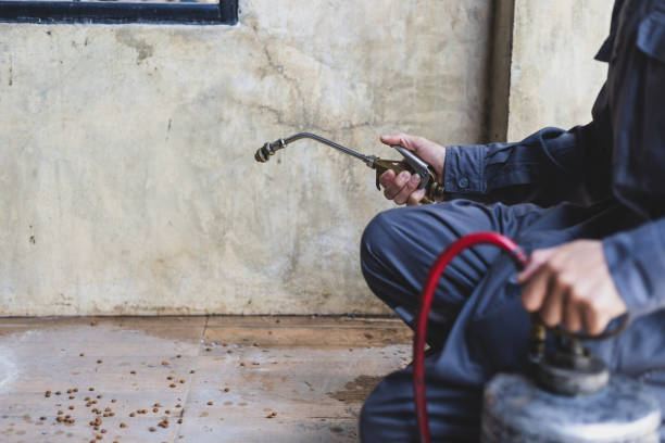 Best Best Pest Control Companies  in Oakville, CT