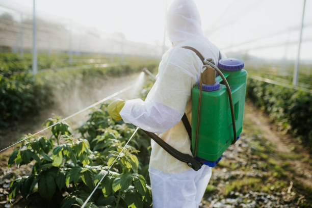 Best Local Pest Control Services  in Oakville, CT